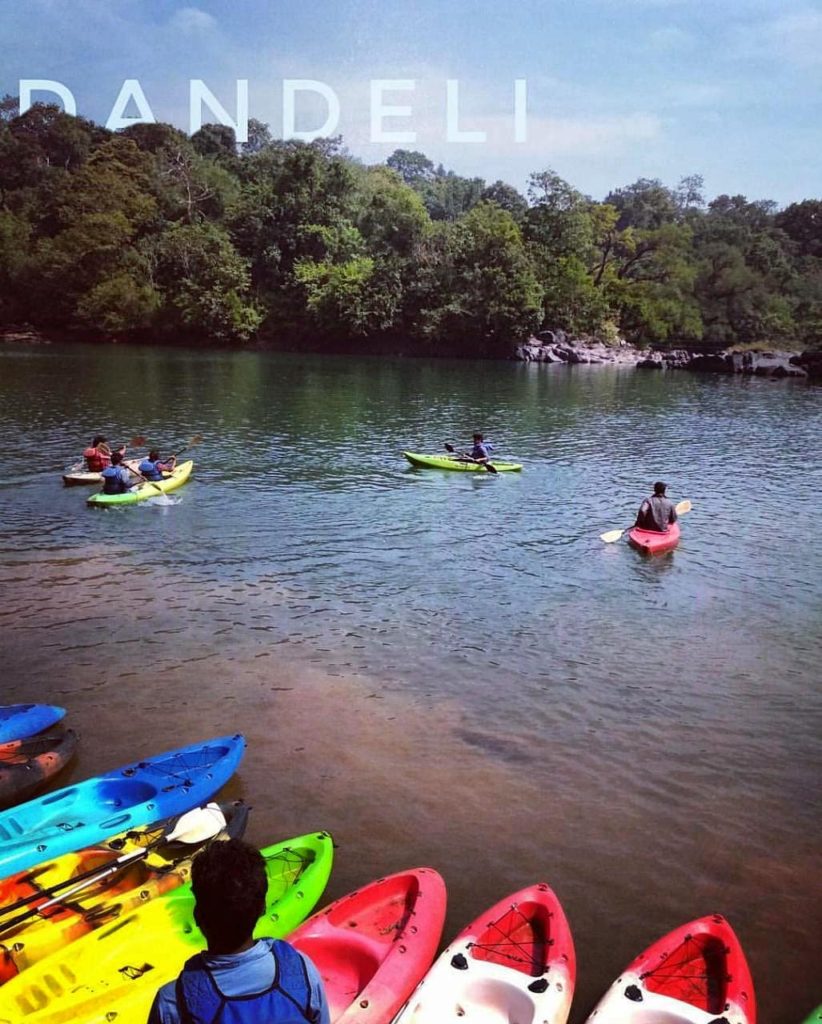 tourist kayaking in dandeli kali river
